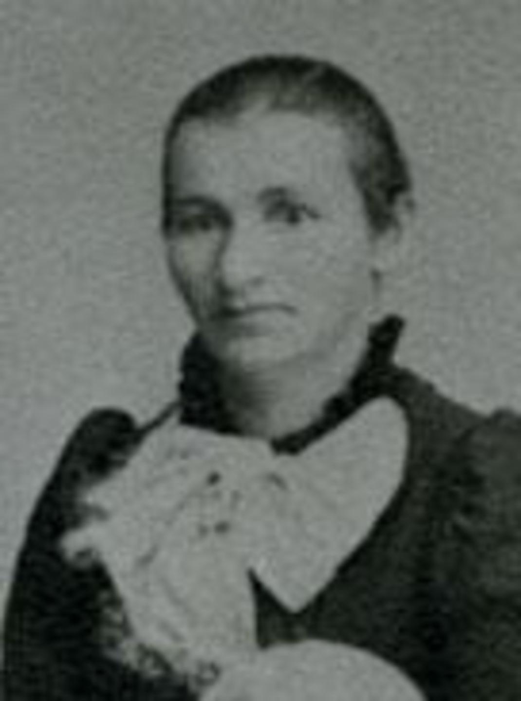 Louisa Haderlie (1858 - 1920) Profile